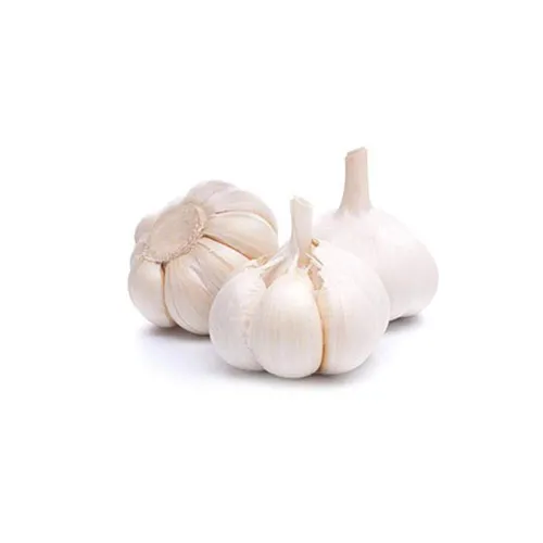 An image of Garlic