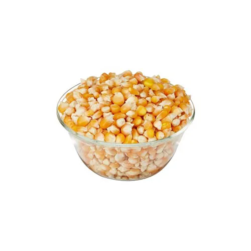 An image of Makka Solam grains