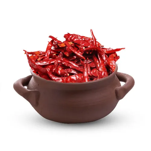 An image of Red chilli neetu milagai